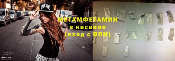 прущие грибы Корсаков