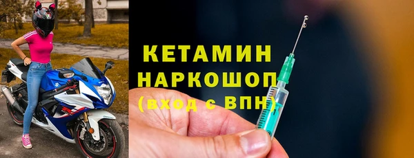 прущие грибы Корсаков