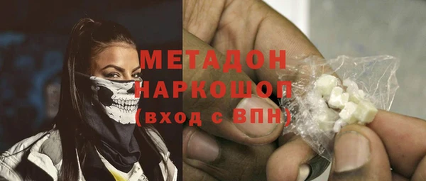 прущие грибы Корсаков