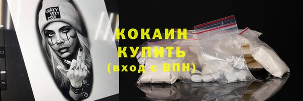 прущие грибы Корсаков